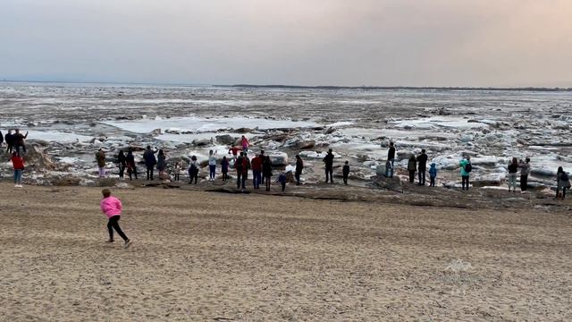 Ледоход на Амуре у Хабаровска 2021 смотреть онлайн