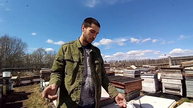 Осмотр и расширение пчелосемей смотреть онлайн