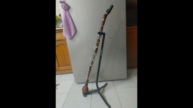 S & S G Basset Horn Tryout