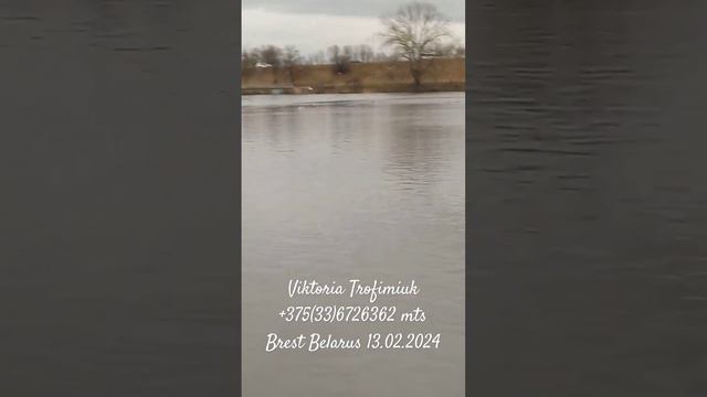 Красота... смотреть онлайн
