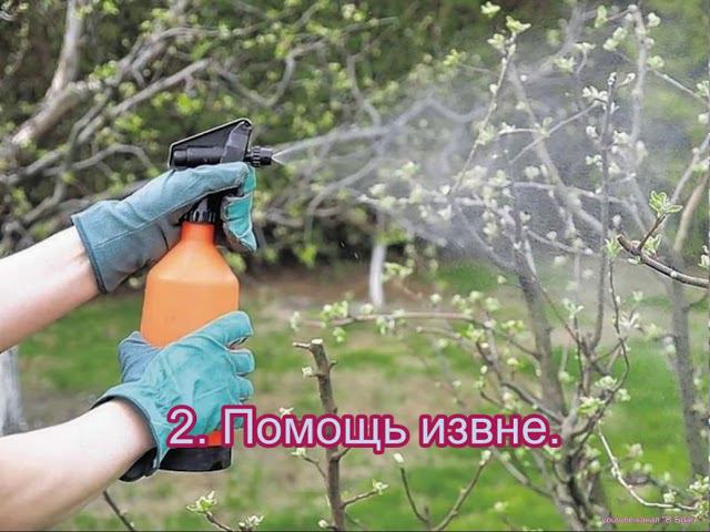Славяне поймут смотреть онлайн
