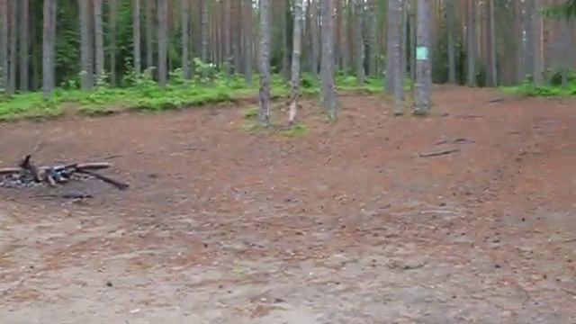 Рафтинг р.Шуя, Карелия vs Kranovs смотреть онлайн