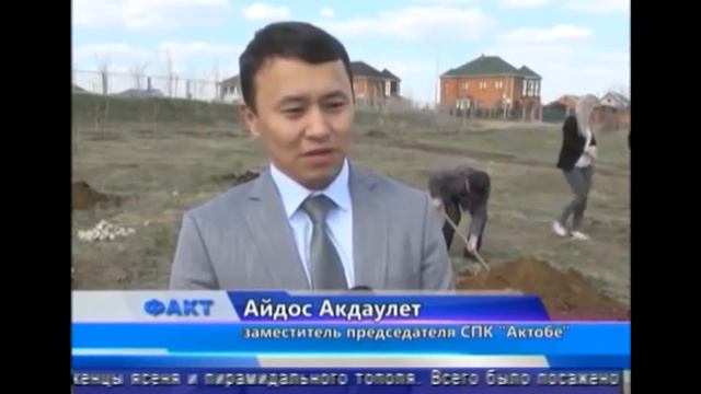 Коллектив СПК "Актобе" высадили 20 саженцев тополя смотреть онлайн