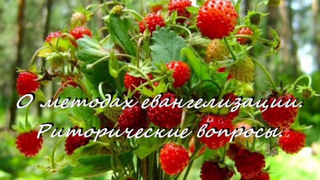 О МЕТОДАХ ЕВАНГЕЛИЗАЦИИ. РИТОРИЧЕСКИЕ ВОПРОСЫ. смотреть онлайн