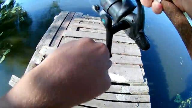 Рыбалка на 24 часа,карп на резинку и донки.Готовим кашу на костре,хороший улов. смотреть онлайн