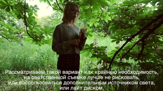 Как фотографировать в парке, лесу. Фотосессия в парке. Детская фотосессия. смотреть онлайн