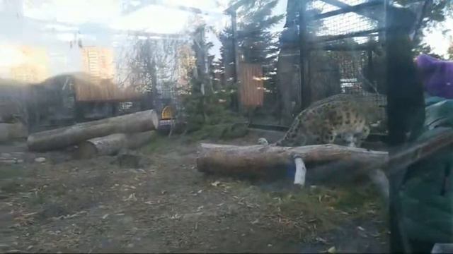 Лайв с Ермаком♥️ смотреть онлайн