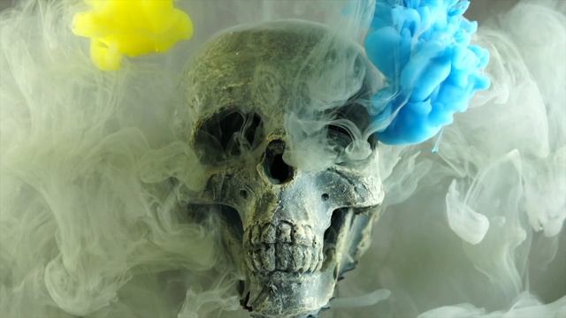 DANSE MACABRE by Urban Electra смотреть онлайн