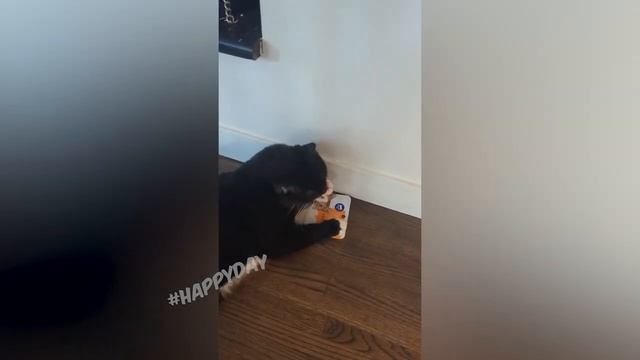  смотреть онлайн