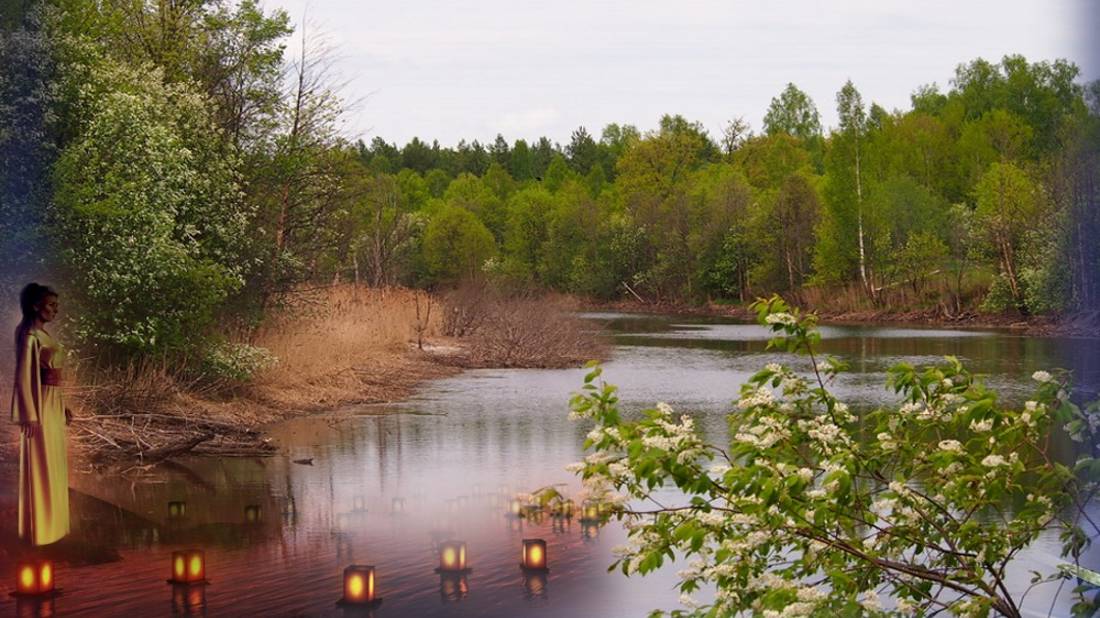 _Белая черемуха _ исп. П. Нечитайло смотреть онлайн