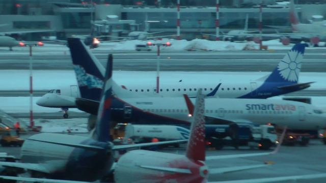 Предновогодний споттинг в Шереметьево 26.12.2022 смотреть онлайн