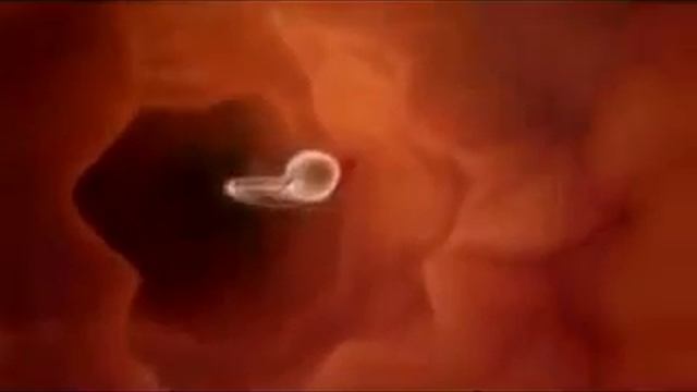 ЗАЧАТИЕ МУЖЧИНЫ. смотреть онлайн