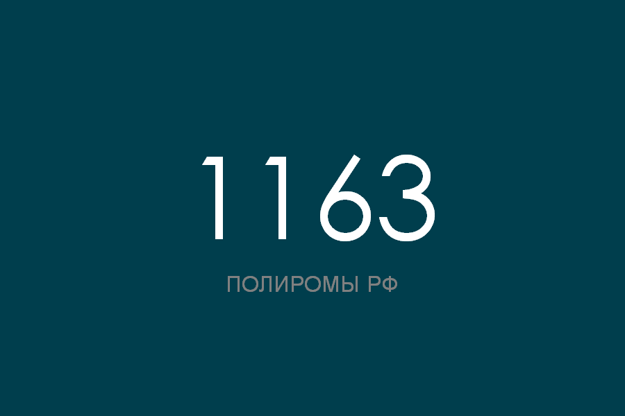 ПОЛИРОМ номер 1163 смотреть онлайн