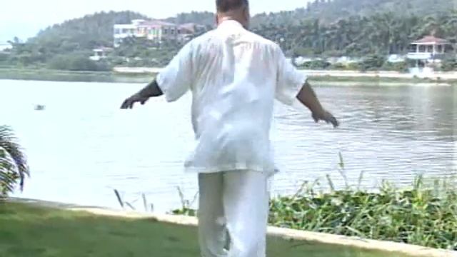 Yi Quan Break Hands & Vivacious Dance