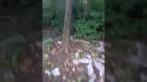 Как вызвать Слендермена. (Я в шоке!)