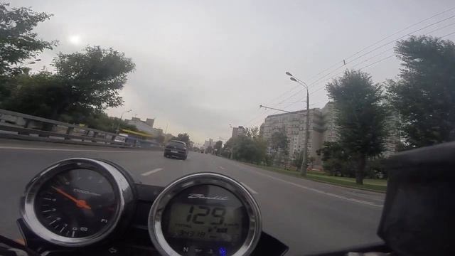 Дятел не смотрит по зеркалам и дартаньян на мотоцикле... смотреть онлайн