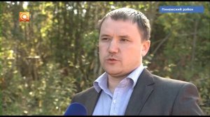 Рубка ухода за лесом в Карпогорах