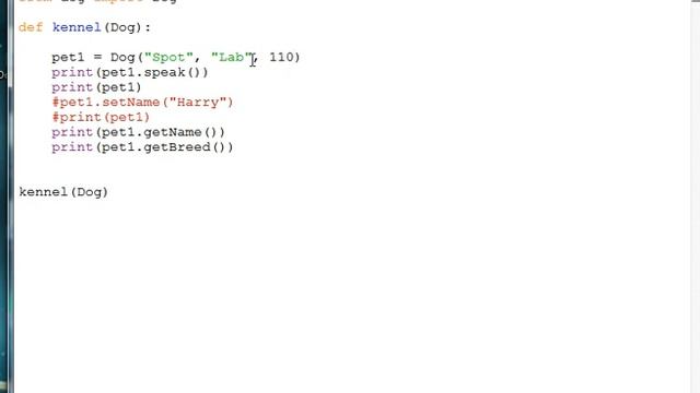 Python Kennel Part 3 Dog Attributes смотреть онлайн
