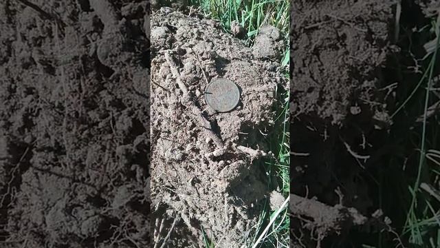 Хоть монета 1980 года смотреть онлайн