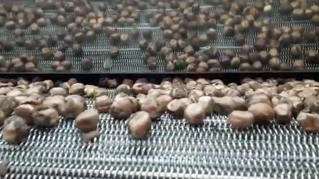 EKO500 обжарка фундука смотреть онлайн