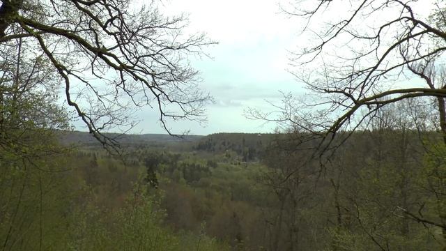 Sigulda MTB Trail Ru