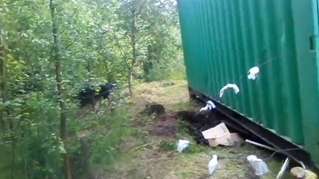 Ну прям очень смешная экскурсия! смотреть онлайн