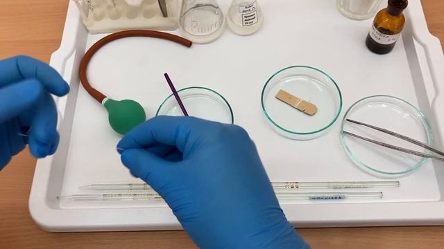 Пристеночное пищеварение