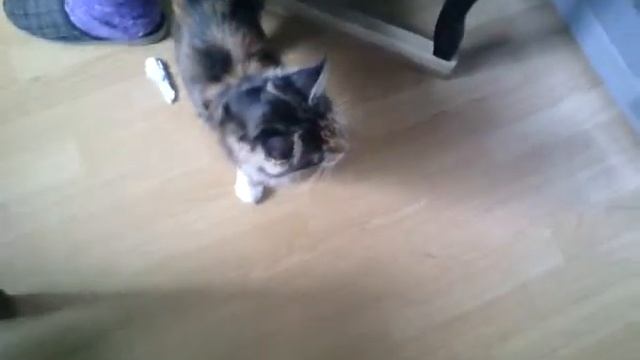 Глаша носит бумагу смотреть онлайн