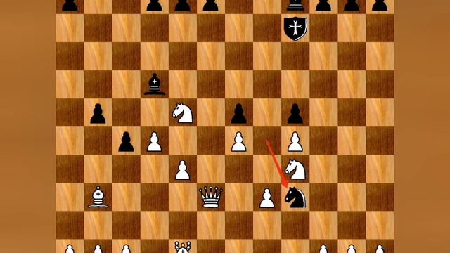 Дикие шахматы (выпуск 15) Фигуры, Расстановки, Партия смотреть онлайн