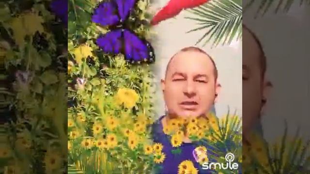 ,, Желанная! " - Сегодня у моей супруги Лены Юскаевой день рождения. Музыкальное поздравление смотреть онлайн