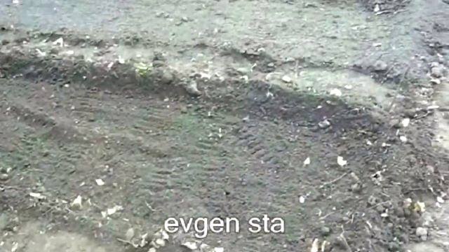 Сидераты. Для чего садить. Плоскорез фокина. смотреть онлайн