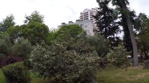 ??Жизнь в Сочи.Обзор улиц в Сочи.Районы в Сочи.Путешествия в Сочи .Туристы гуляют по Сочи.