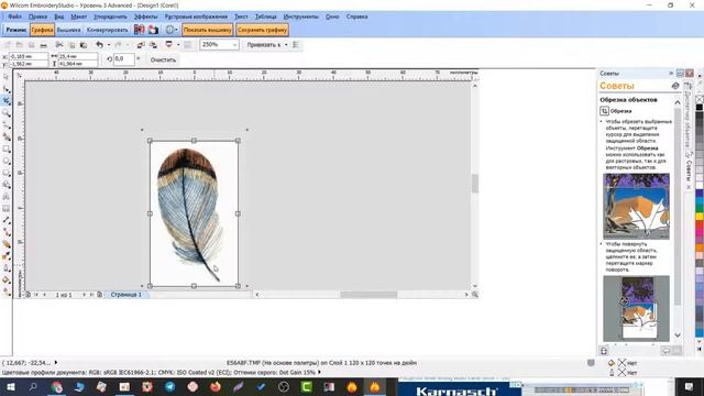Как обрезать картинку в программе Wilcom за 1 минуту - Модуль графика смотреть онлайн