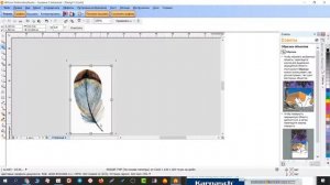 Как обрезать картинку в программе Wilcom за 1 минуту - Модуль графика