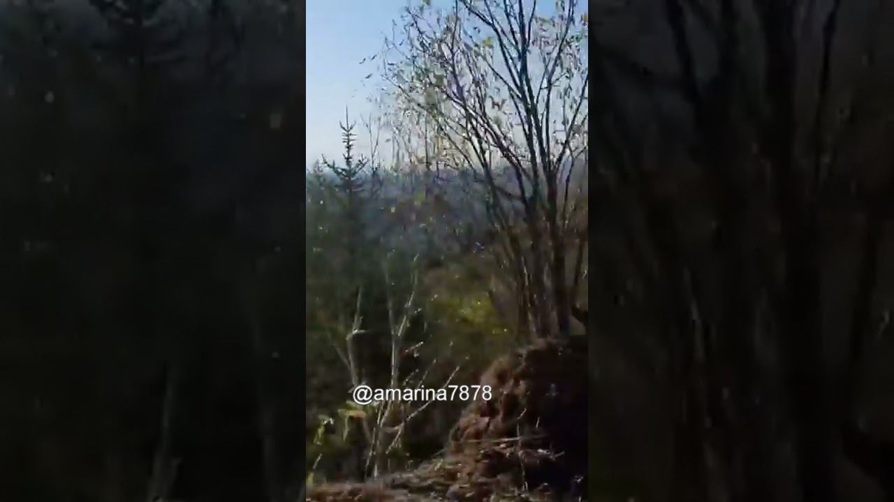 Сахалин. Активный отдых на квадроциклах смотреть онлайн