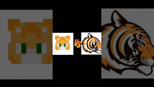 Кто лучше Бискас или ЕвгенБро? #майнкрафт #minecraft #shorts #ютуберы #бискас #евгенбро #клекс смотреть онлайн