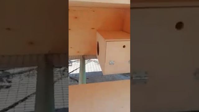 БИЗНЕС В ГАРАЖЕ!!! ПРИВЕТ ИЗ ОМСКА))) смотреть онлайн