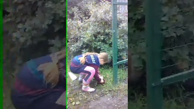 Дача чем заняться ? смотреть онлайн