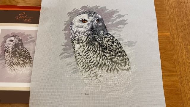 LANARTE “Snowy Owl”. Буря эмоций и промокоды. смотреть онлайн