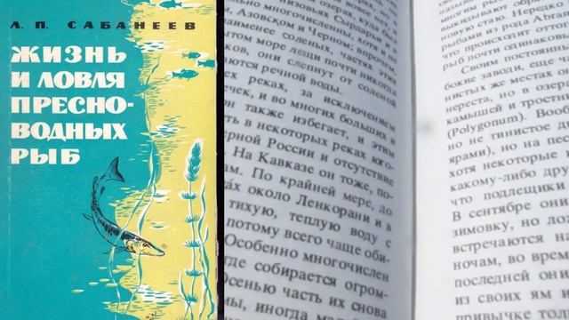 Леонид Сабанеев | Жизнь и Ловля пресноводных рыб смотреть онлайн