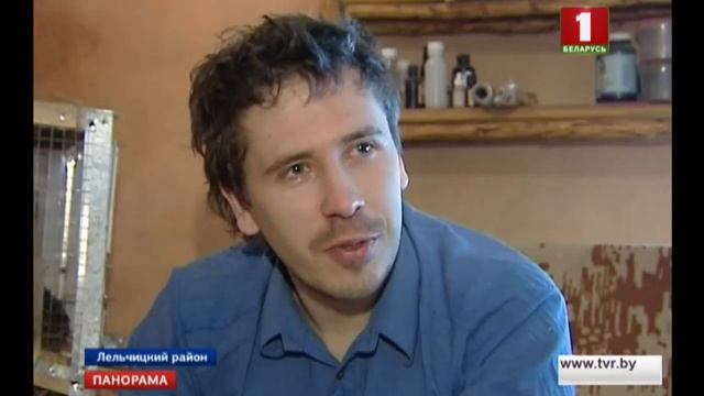 Житель поселка Мирный мечтает возвести "деревню хоббитов". Панорама смотреть онлайн