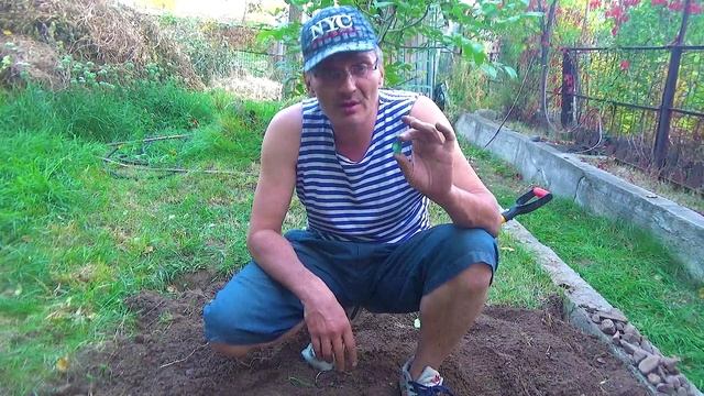 17 Какие наглые комары летают (1).mp4 смотреть онлайн