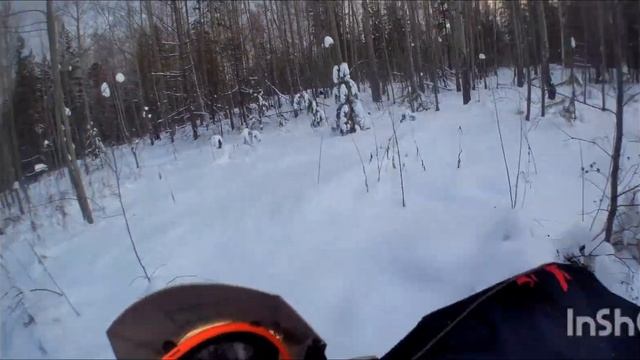 С Сыном в лес на Рождество 07.01.2024г. смотреть онлайн