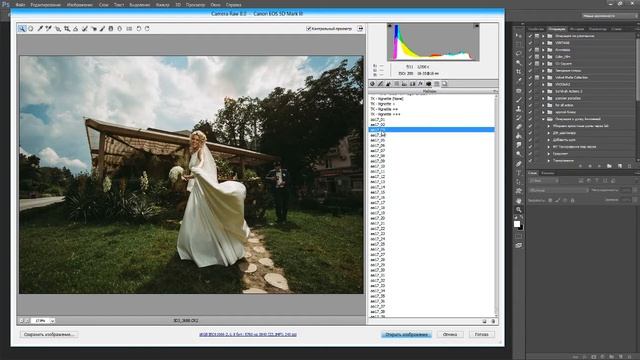 Художественное тонирование в PS. Автоматизация творческого поиска смотреть онлайн