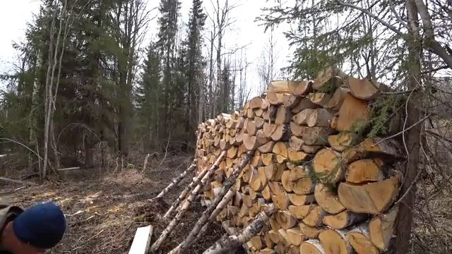 РУБИМ ДЕРЕВЬЯ ЧТОБЫ НЕ ЗАМЁРЗНУТЬ / ЭТО НЕОБХОДИМОСТЬ НА СЕВЕРЕ / ЗАГОТОВКА ДРОВ В ЛЕСУ / SR-21. смотреть онлайн