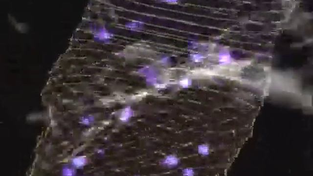 Tangerine Dream Live At Coventry Cathedral (1975) смотреть онлайн