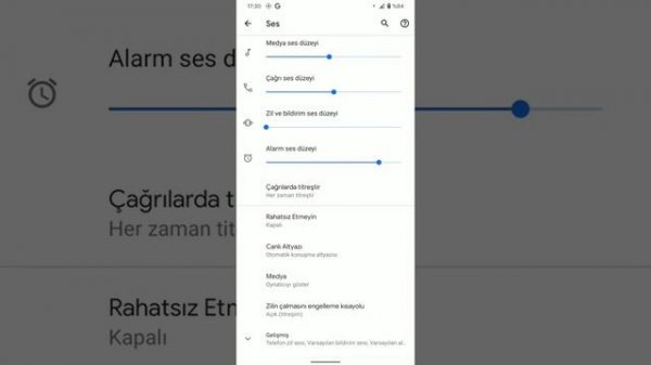 Meizu X8 Pixel Experience Android 11
