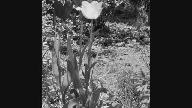 Jerzy Połomski - Czas Nas Zmienia смотреть онлайн