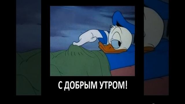 Интересная подборка фото и картинок #1 смотреть онлайн