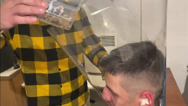 Атака тараканов | Страх тараканов | Тараканы на лице